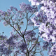 Illustration for article titled Spring has sprung: A Xyl0 photo gallery